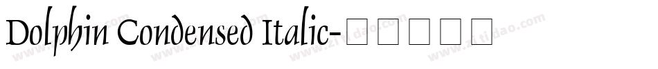 Dolphin Condensed Italic字体转换